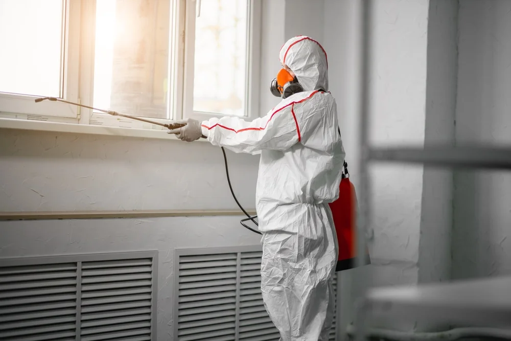 Professional mold remediation services in Minor Hill, TN